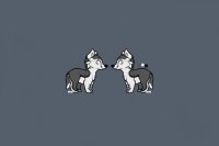 #4 for ~Silverpelt~