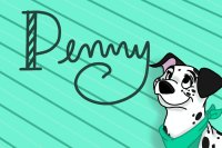 Penny Banner