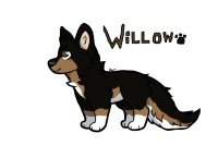 Willow (Color-in)