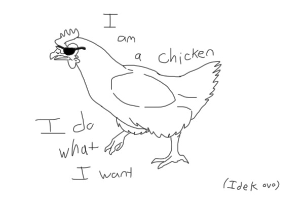 I am a chicken and I do what I want.