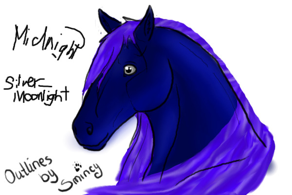horse Midnight