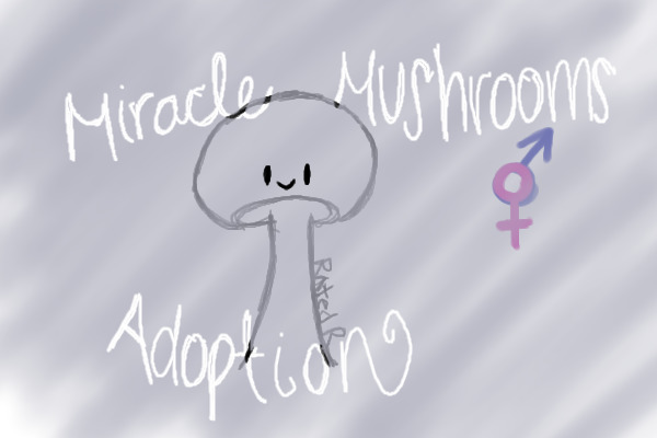 Miracle Mushroom Adoptions; ON HIATUS