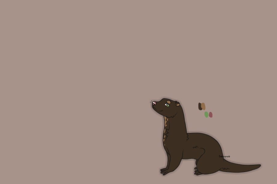 Otter #4 Batch 1