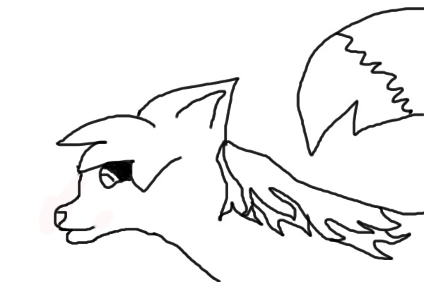 Quick, Strange Wolf Drawing...