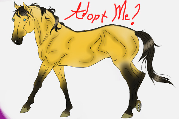 ADOPT ME!!!!!!!! Aria, the buckskin mare.