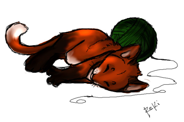 Fox kitty