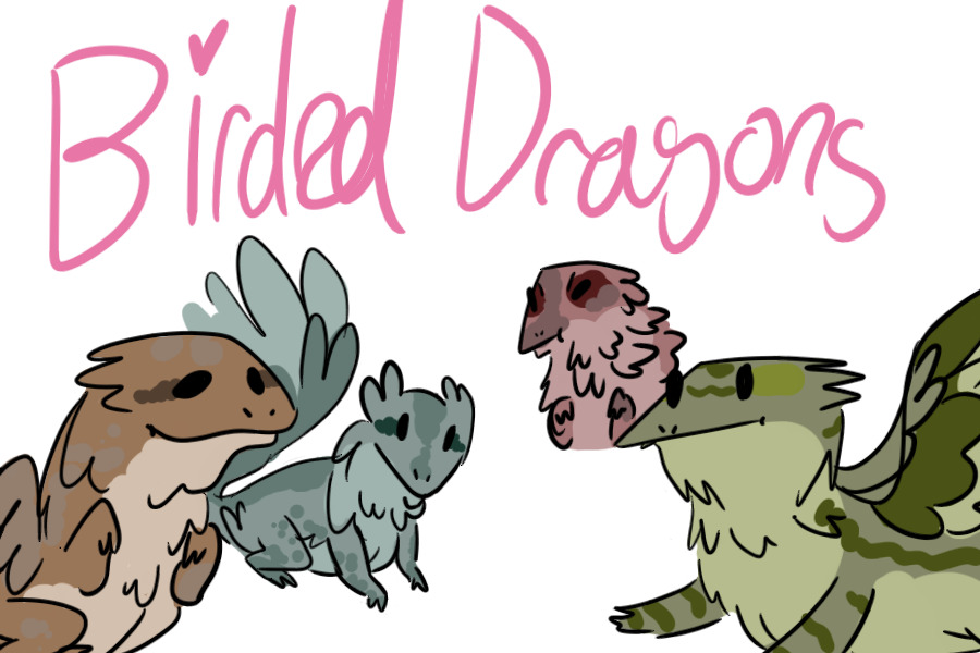 Birded Dragons