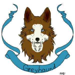 Greyhound wolf