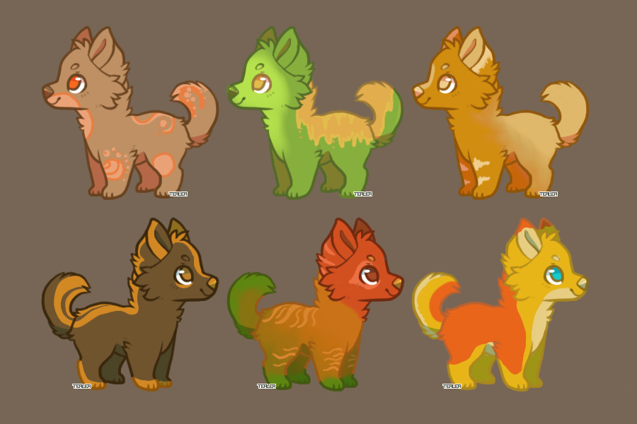 Adoptable Fall Puppies (SOLD, thank you!)