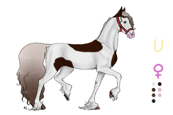 Norrsken Horse #17