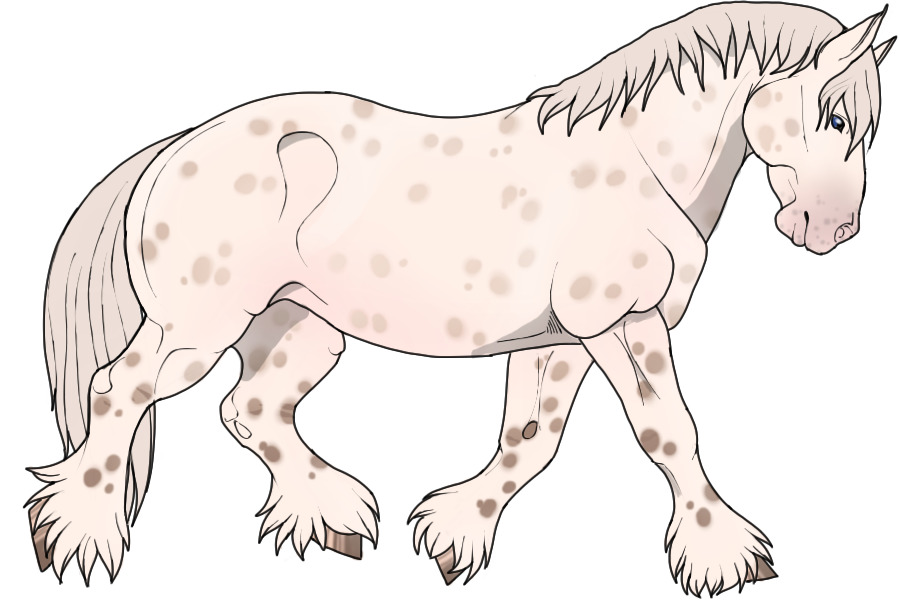 Pinewood Draught Horse 2- Silver Amber Dun Leopard Appaloosa