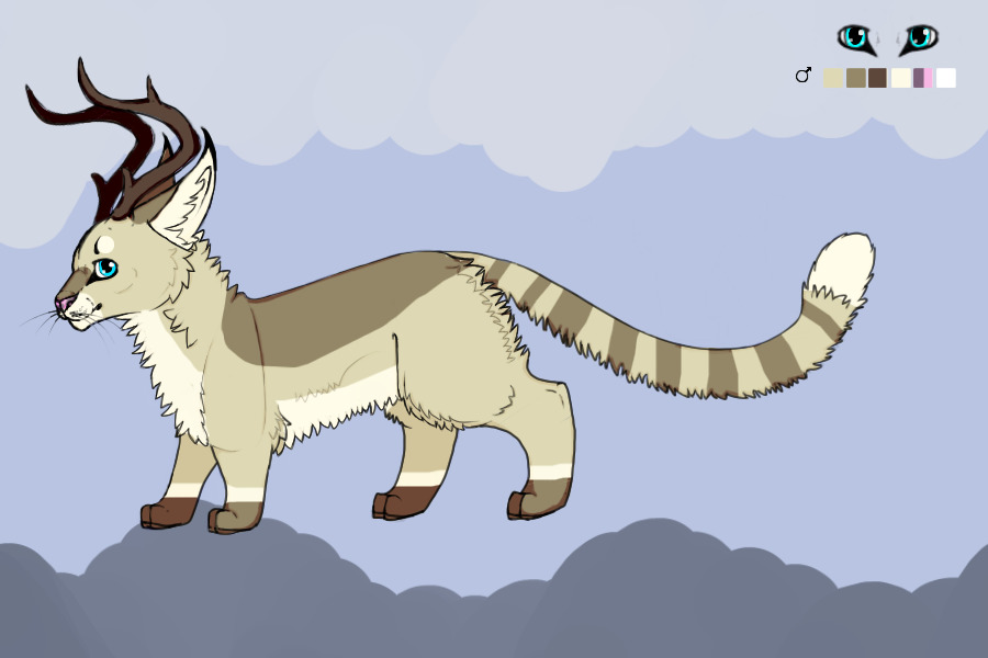 Parvus Lynx #59 (adopted!)