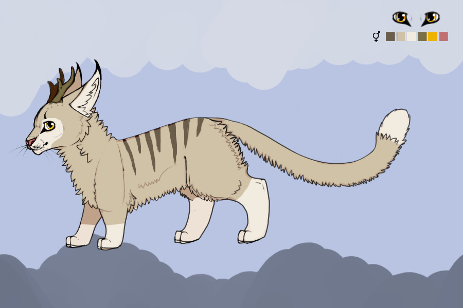 Parvus Lynx Adopt #67 (adopted)