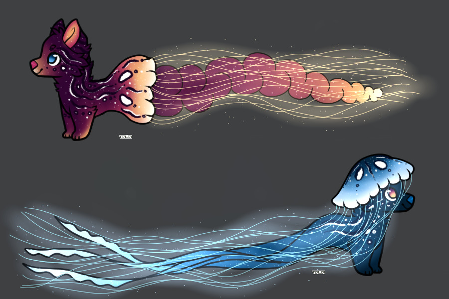 Jellyfish pups for sale (finished)