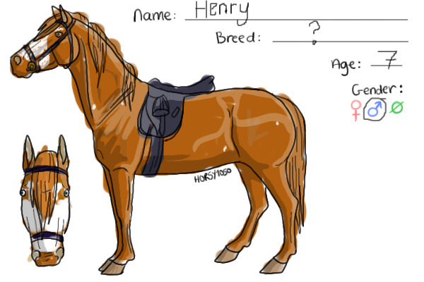 My Horse: Henry!