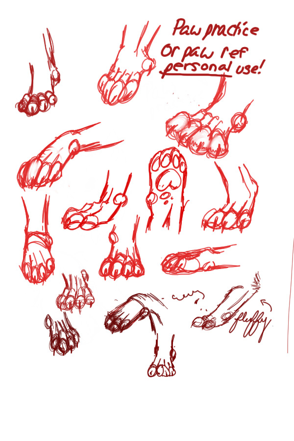 Personal ref paw sketch