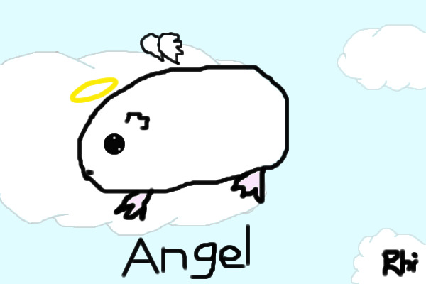 AnnannA's Angel