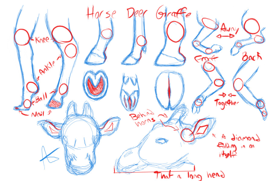 How to draw horsie legs + Giraffes
