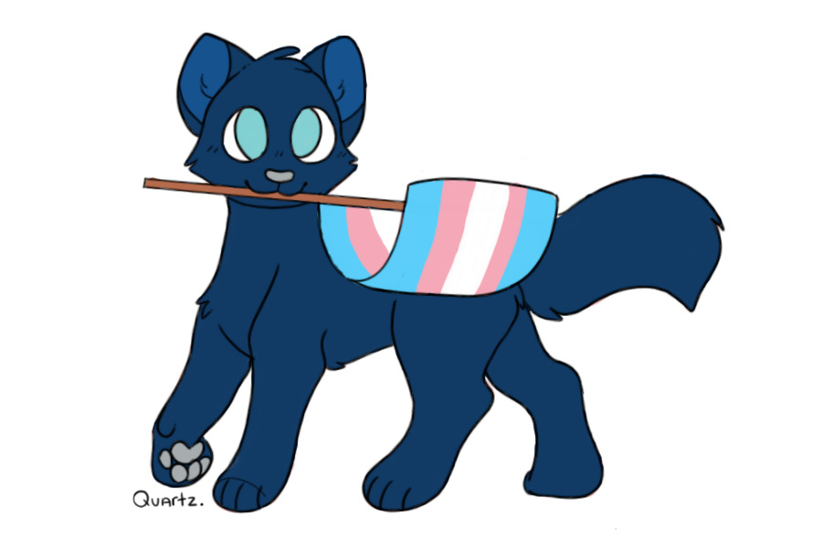 Trans Kitty