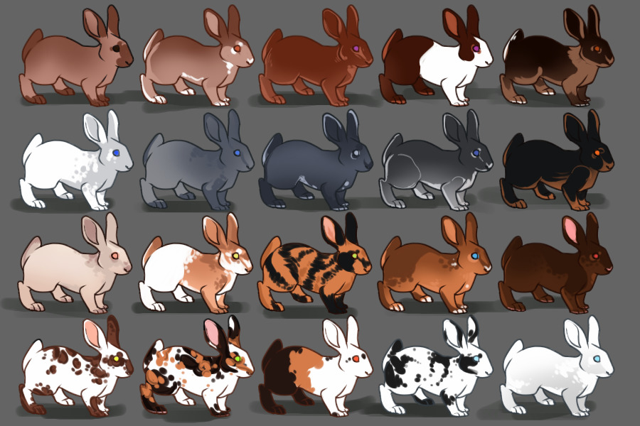 Rabbits round 2