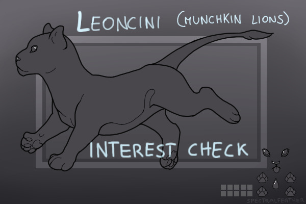 Leoncini species interest check