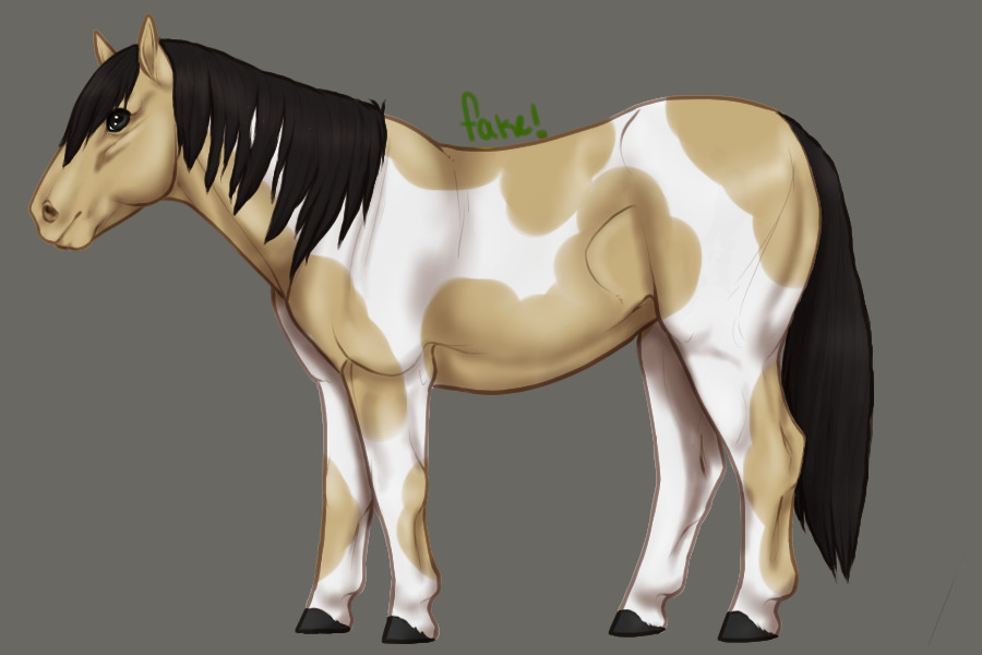 Chinco ponies entry #2!