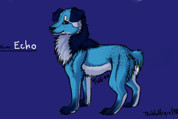 Echo the blue dog