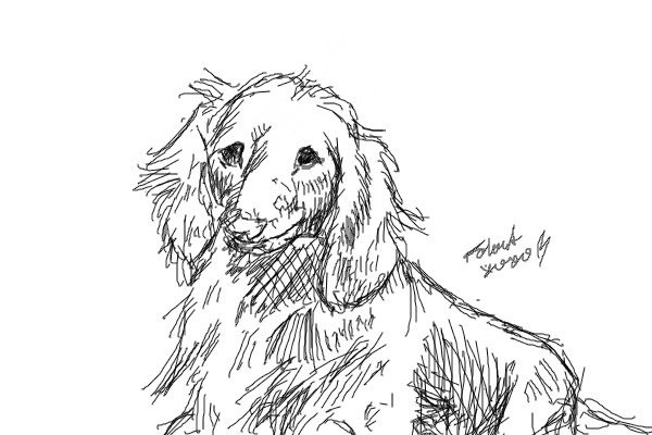 Dog Sketch #002