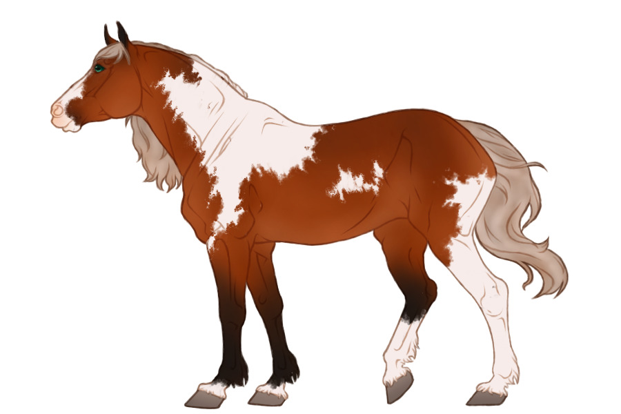 Horse Adopt 2