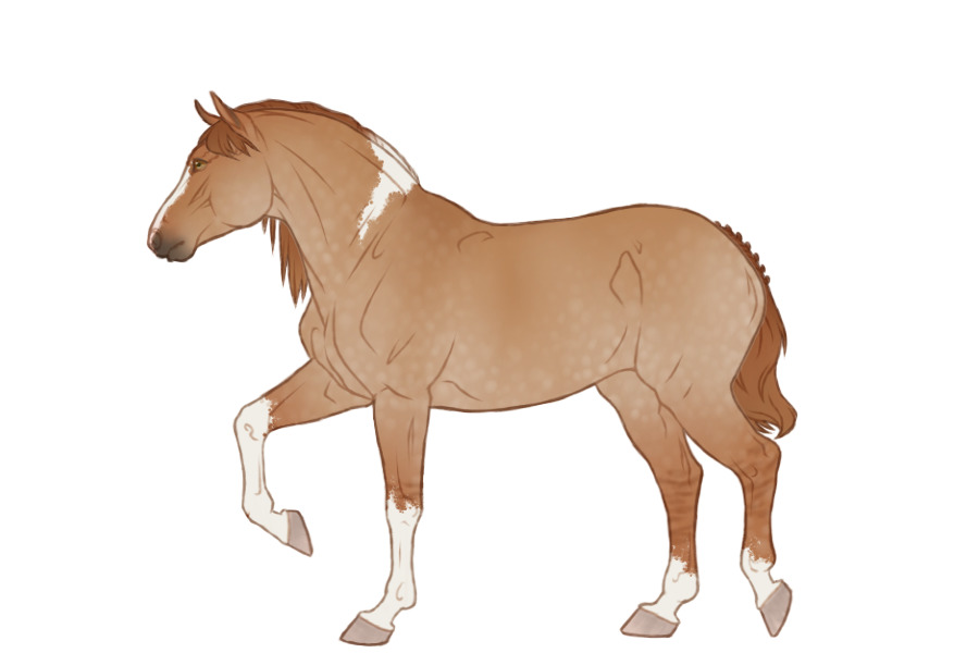 Horse Adopt 3