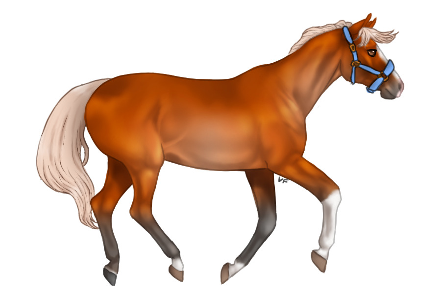 Lustenburg Horse 001