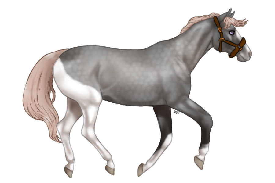 Lustenburg Horse 002