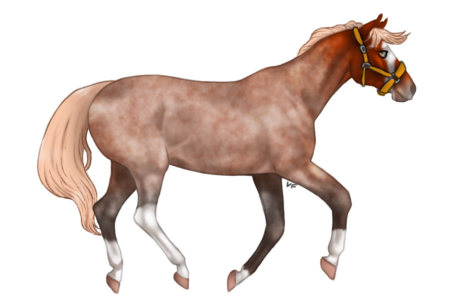 Lustenburg Horse 004