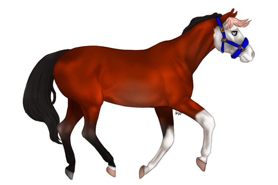 Lustenburg horse 005