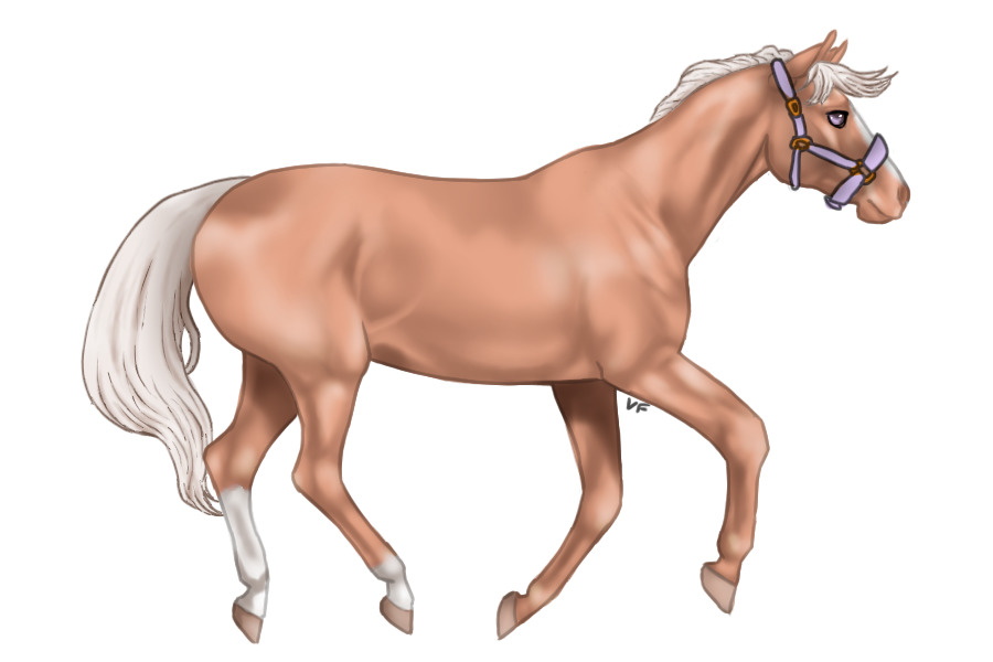 Lustenburd Horse 007