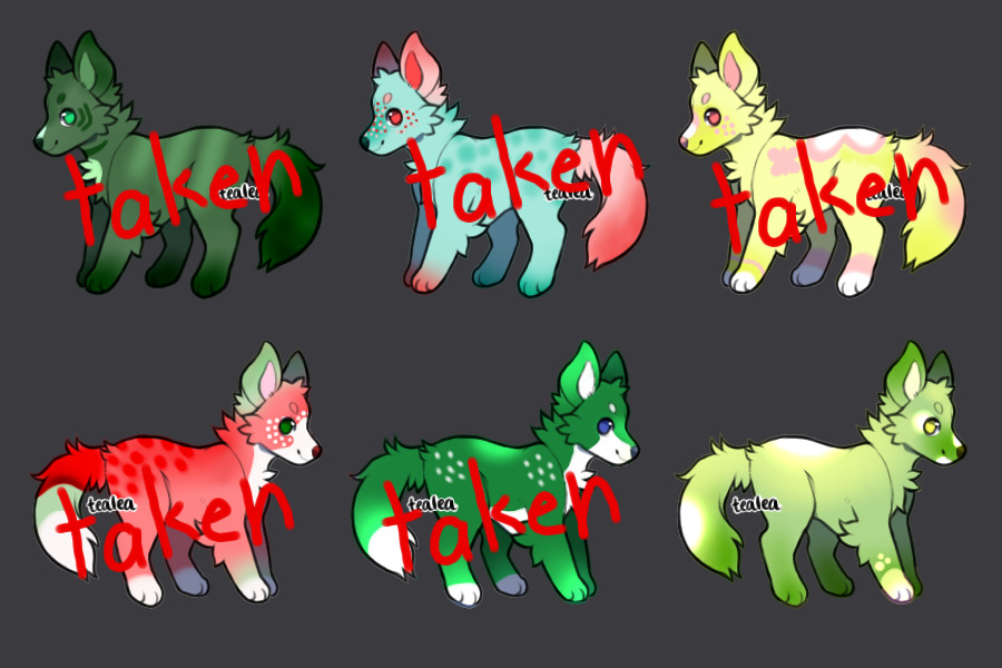 #2 OPEN CANINE ADOPTS 1/6