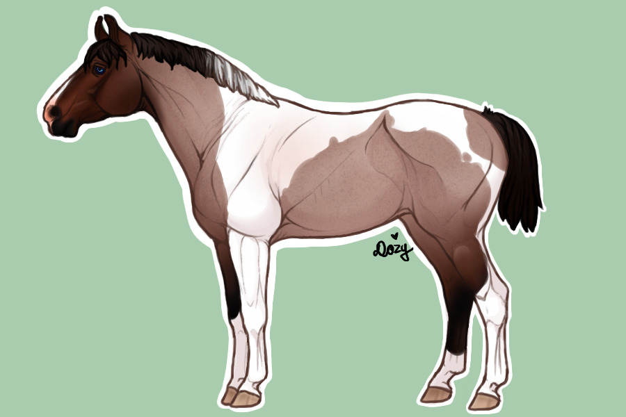 Horse - Unnamed - Bay Roan Tobiano