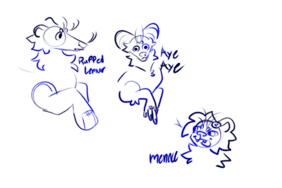 lemur doodles