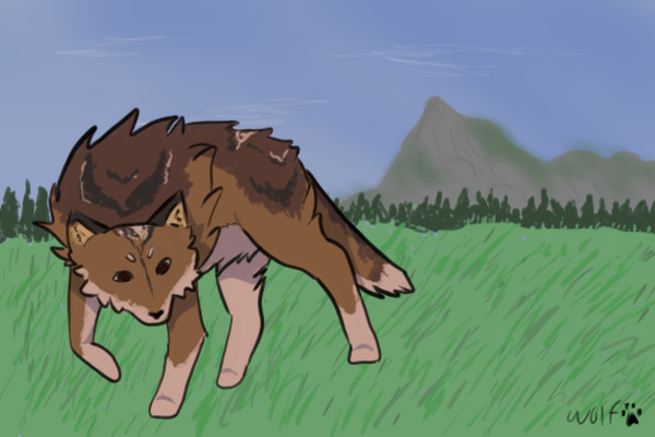 A Meadow Wolf