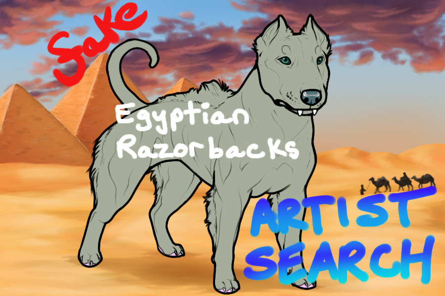 New Egyptian Razorback Artist Search