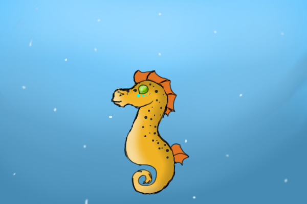 My Little Seahorse Friend!