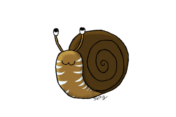 Mr. Snail