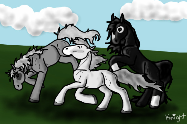 The Gray Ponies.