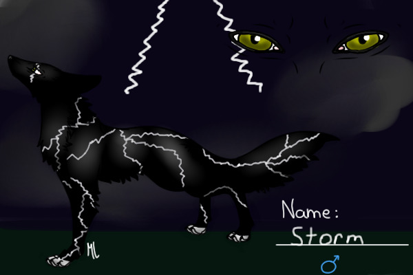 Storm: My 2nd Elemental Wolf