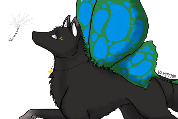 Starlight butterfly wolf