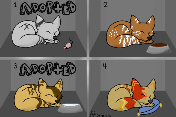 Adopt These Little Foxes~