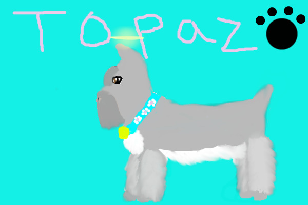 My Dog Topaz (Is forever in My heart)